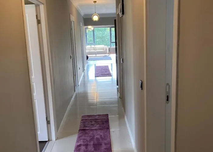 1007 3 1 Wide Close To Consulates Apartment